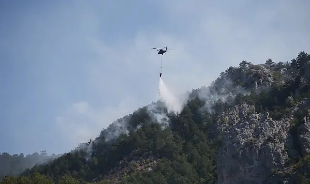 Sinop’ta Orman Yangınıyla Havadan ve Karadan Yoğun Mücadele