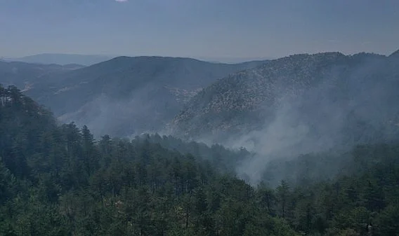 Sinop'taki Orman Yangınına Havadan ve Karadan Müdahale Sürüyor