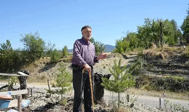Tek Başına Fidan Dikti, Dere Kenarını Ormana Dönüştürdü