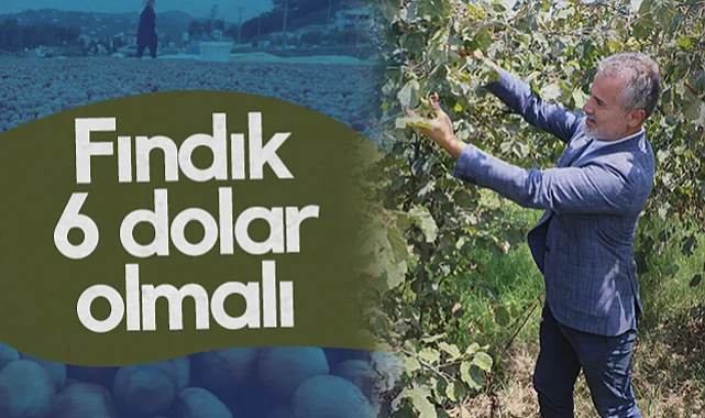Yeniden Refah Genel Başkan Yardımcısı Suat Kılıç: Fındık 6 Dolar Olmalı