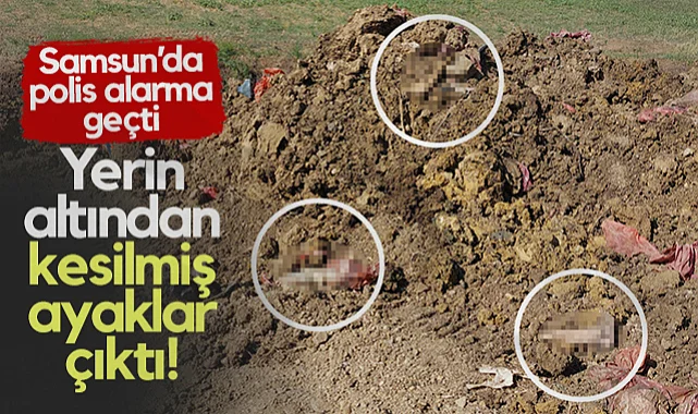 Yerin Altından Kesilmiş Ayaklar Çıktı! Samsun'da Polis Alarma Geçti...