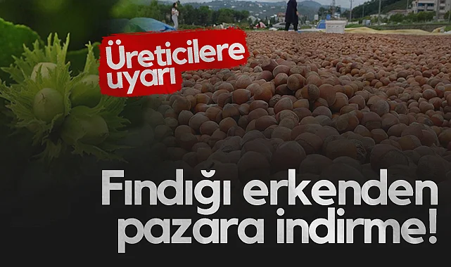 Ziraat Odaları Birliği'nden Uyarı: Fındığı Erkenden Pazara İndirme!