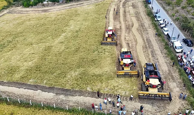 Alaçam’da Çeltik Hasat Festivali: Verim Türkiye Ortalamasının Üstünde