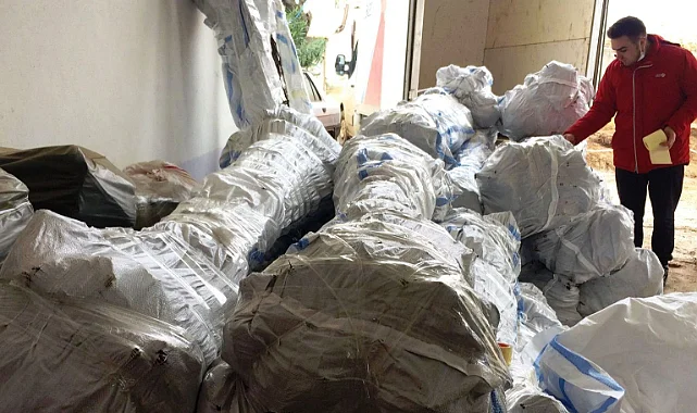 Aşılı Ceviz Fidanı ile Verimli Bahçeler Kurun