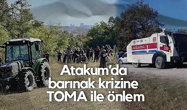 Atakum'da Barınak Krizi İkinci Gününde Devam Ediyor