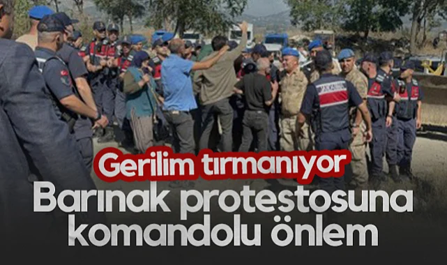 Atakum'da Hayvan Barınağı Gerginliği Tırmandı: Bölgeye Komandolar Sevk Edildi