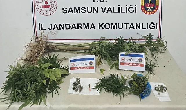 Atakum’da Uyuşturucu Operasyonu: 1 Kişi Gözaltında
