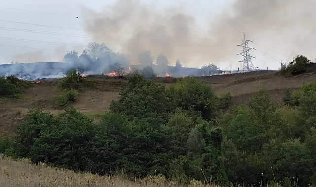 Bafra’da Çalılık Alanda Yangın Çıktı, 150 Dekar Alan Kül Oldu