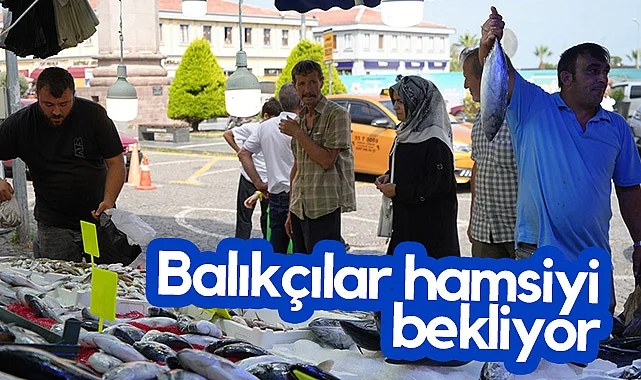 Balıkçılar Hamsiyi Dört Gözle Bekliyor