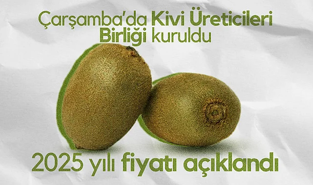 Çarşamba’da Kivi Üreticileri Birliği Kuruldu! 2025 Yılı Kivi Fiyatı Açıklandı