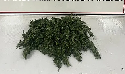 Çarşamba’da Uyuşturucu Operasyonu: İş Yerinde 700 Gram Kubar Esrar Ele Geçirildi