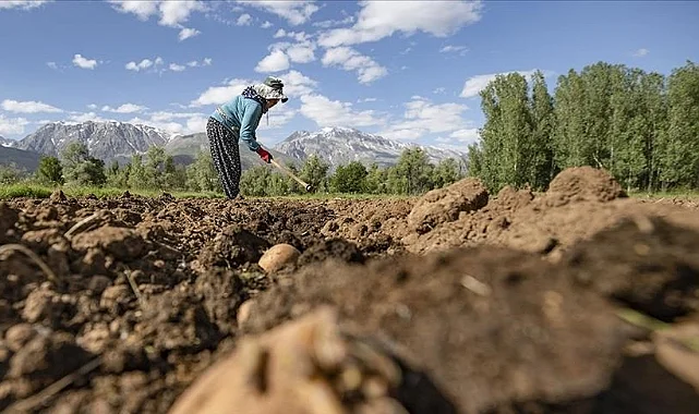 Çiftçilere Müjde: Bugün 4,5 Milyar Liralık Destekleme Ödemesi Yapılacak
