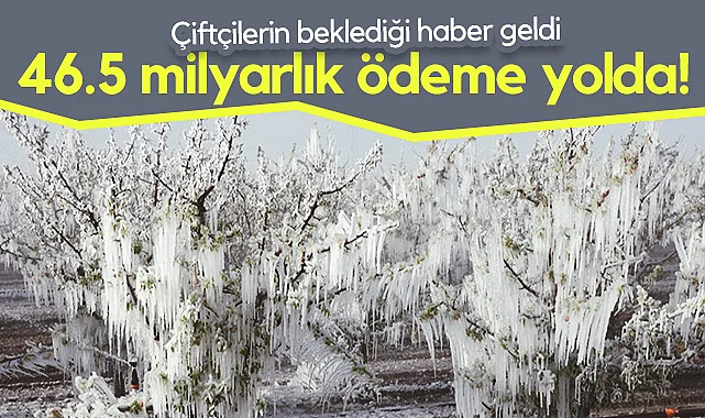 Don Vuran Çiftçilere Büyük Destek! Samsun Dahil 65 İl İçin 46.5 Milyar TL Ödeme Yolda!