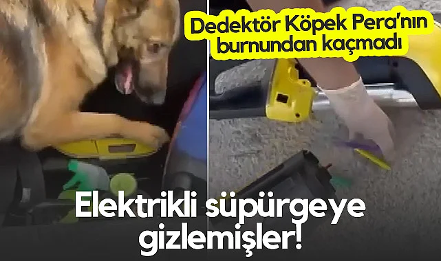 Elektrikli Süpürgeden Uyuşturucu Çıktı! Dedektör Köpek Pera'nın Burnundan Kaçmadı...