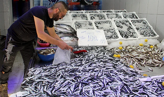Karadeniz’de Hamsi Avında Verimli Sezon: Gelecek İçin Umut Veriyor