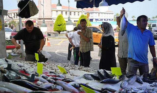 Karadeniz’de Hamsi Umudu: 10 Gün İçinde Tezgâhlarda Olabilir