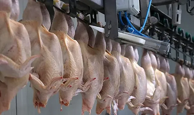 Rekabet Kurulu 13 Şirkete Ceza Kesti