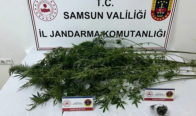 Salıpazarı’nda Jandarma Ekiplerinden Uyuşturucu Baskını