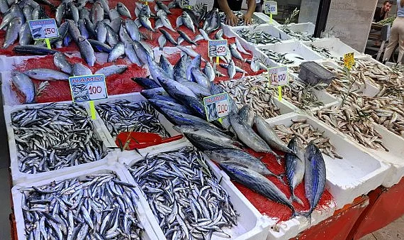 Samsun Balık Hali Hareketlendi: Hangi Balığın Fiyatı Ne Kadar?