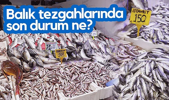 Samsun'un Balık Tezgahlarında Son Durum Ne?