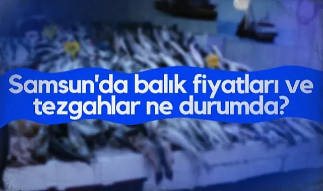 Samsun'da Balık Fiyatları ve Tezgahlar Ne Durumda?