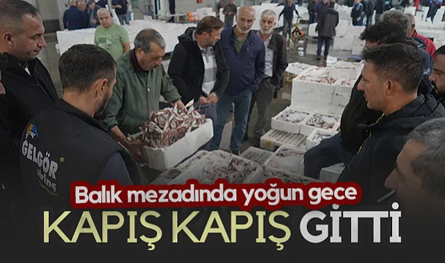Samsun'da Balık Mezadında Yoğun Gece: Kasalar Dolusu Balık Satıldı