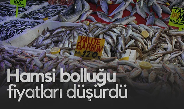 Samsun'da Hamsi Bolluğu Fiyatları Düşürdü
