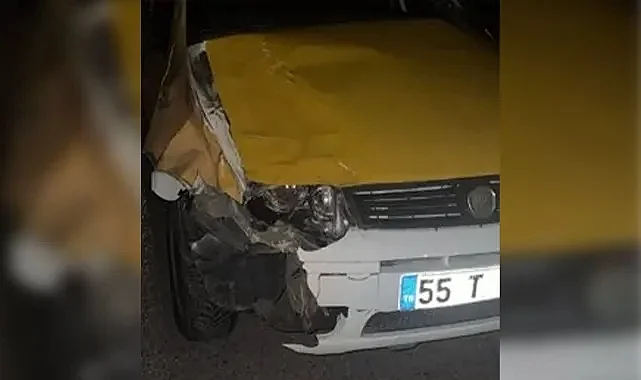Samsun’da Taksi Yola Çıkan İneğe Çarptı: 1 Yaralı
