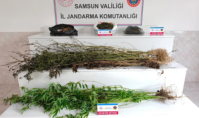 Samsun'da Uyuşturucu Operasyonu: 2 Kilo 355 Gram Kubar Esrar Ele Geçirildi