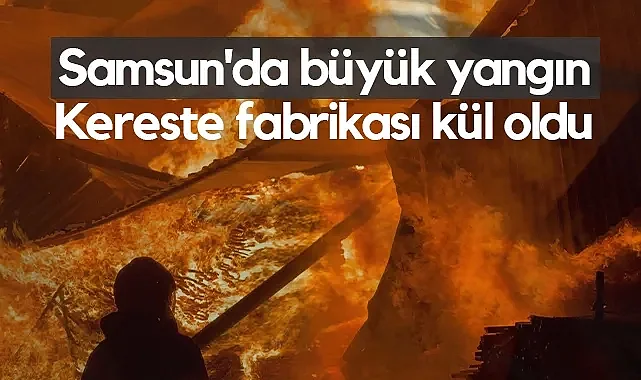 Samsun'da Kereste Fabrikasında Korkutan Yangın: Alevler Gökyüzünü Kapladı
