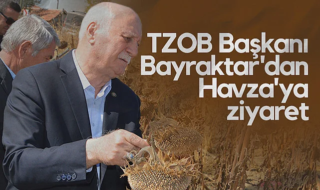 TZOB Başkanı Bayraktar'dan Havza'ya Ziyaret: Çiftçilerle Sohbet, Tarlada İnceleme