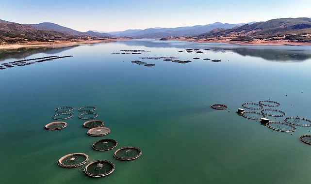 Almus Barajı'ndan 5 Ülkeye İhracat