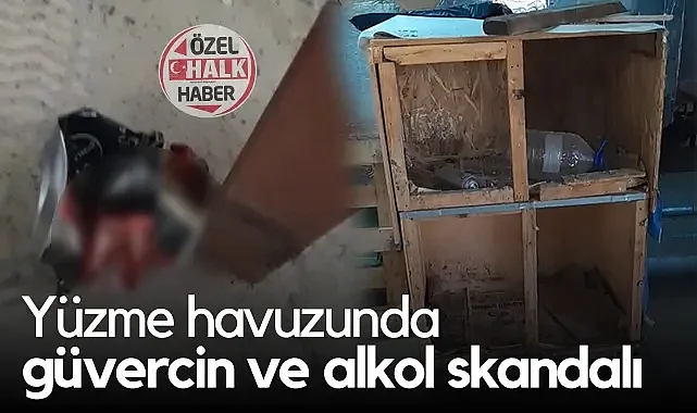 Atakum Olimpik Yüzme Havuzu’nda Güvercin ve Alkol Skandalı!