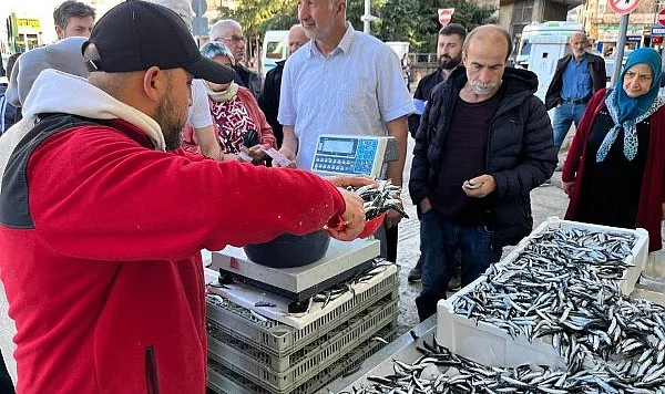 Balıkçılar Açıkladı: Fatsa'da Hamsi 25 TL, Herkesin Yiyebilmesi İçin Kişi Başı 2 KG Sınırı Var