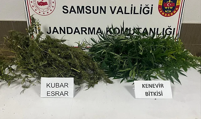 Çarşamba’da Jandarmadan Uyuşturucu Operasyonu