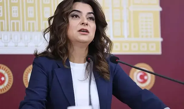 DEM Parti’den Tezkere Kararı: Irak, Suriye ve Lübnan’a Hayır
