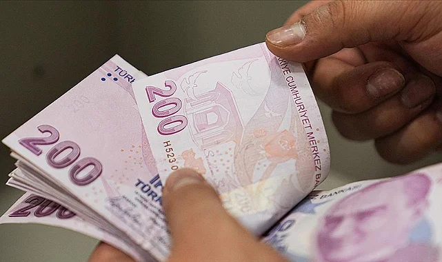 Ekim Ayı Sosyal ve Ekonomik Destek (SED) Ödemeleri Yapıldı