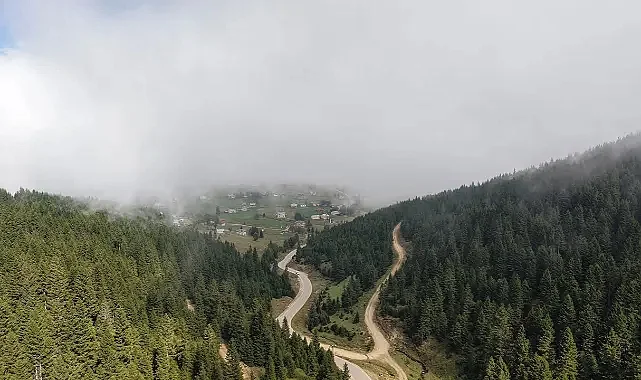 Karadeniz’de Heyelan Alarmı: Uzmanlardan Ormanların Korunması Çağrısı