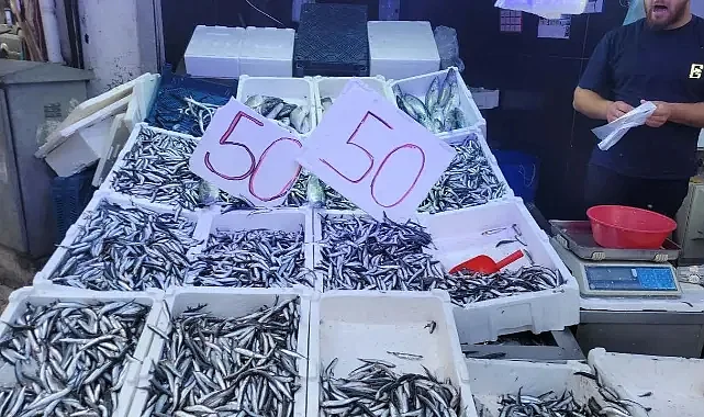 Karadeniz Hamsisi Tezgahları Doldurdu: Fiyatı Düştükçe Düştü