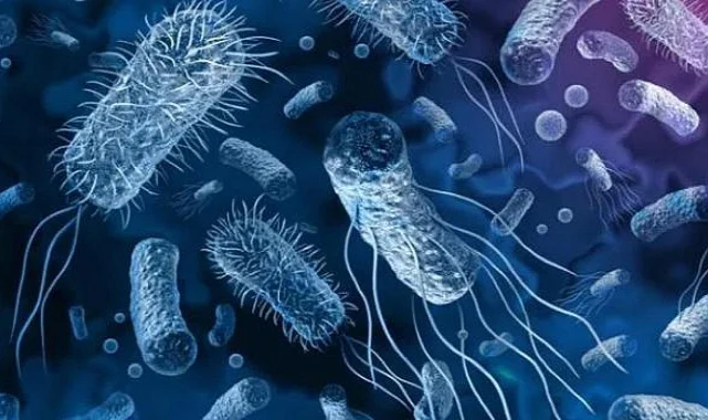 Küresel Alarm: Kolera Salgını 23 Ülkeye Yayıldı, 4 Bin 200'den Fazla Kayıp