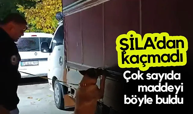 Narkotik Köpeği ŞİLA Kamyondaki Yüklü Miktardaki Uyuşturucuyu Böyle Buldu!