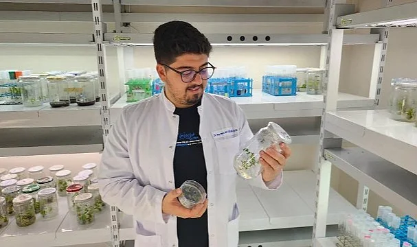Bilim Dünyasını Sallayacak Proje Samsun'da: Domatesin Rengi Değişiyor