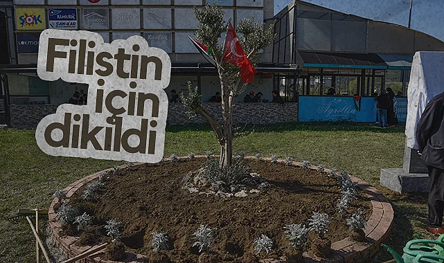 OMÜ’de Filistin İçin Zeytin Ağacı Anıtı Dikildi