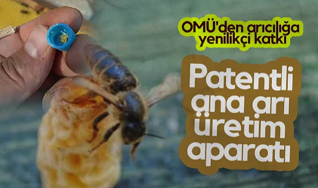 OMÜ'den Arıcılığa Yenilikçi Katkı: Patentli Ana Arı Üretim Aparatı