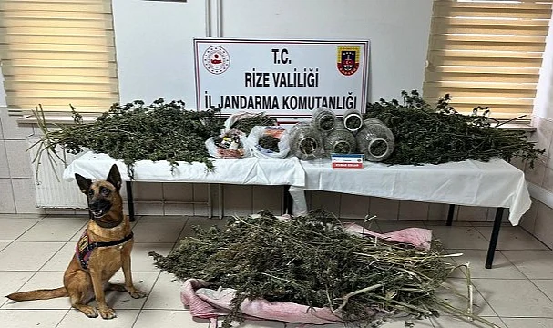 Rize’de Jandarmadan Büyük Uyuşturucu Operasyonu