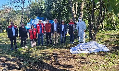 Salıpazarı’nda Kahverengi Kokarcayla Mücadele Hız Kesmiyor