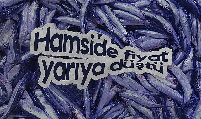 Samsun Balık Pazarı Canlandı: Hamsi Fiyatı Yarıya Düştü
