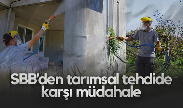 Samsun Büyükşehir Belediyesi’nden Tarımsal Tehdide Karşı Müdahale