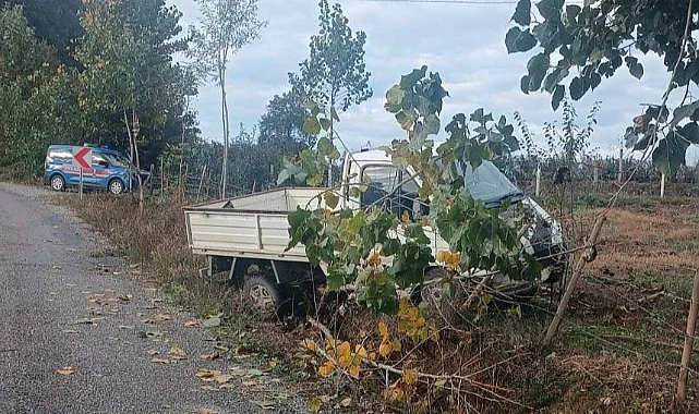 Samsun'da Bahçe Çitine Çarpan Kamyonetin Sürücüsü Yaralandı