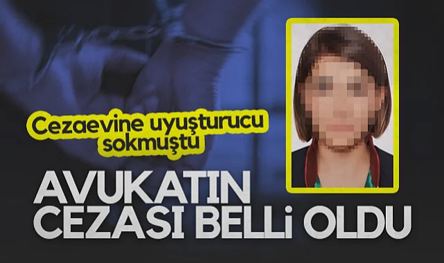 Samsun'da Cezaevine Uyuşturucu Sokan Avukatın Cezası Belli Oldu
